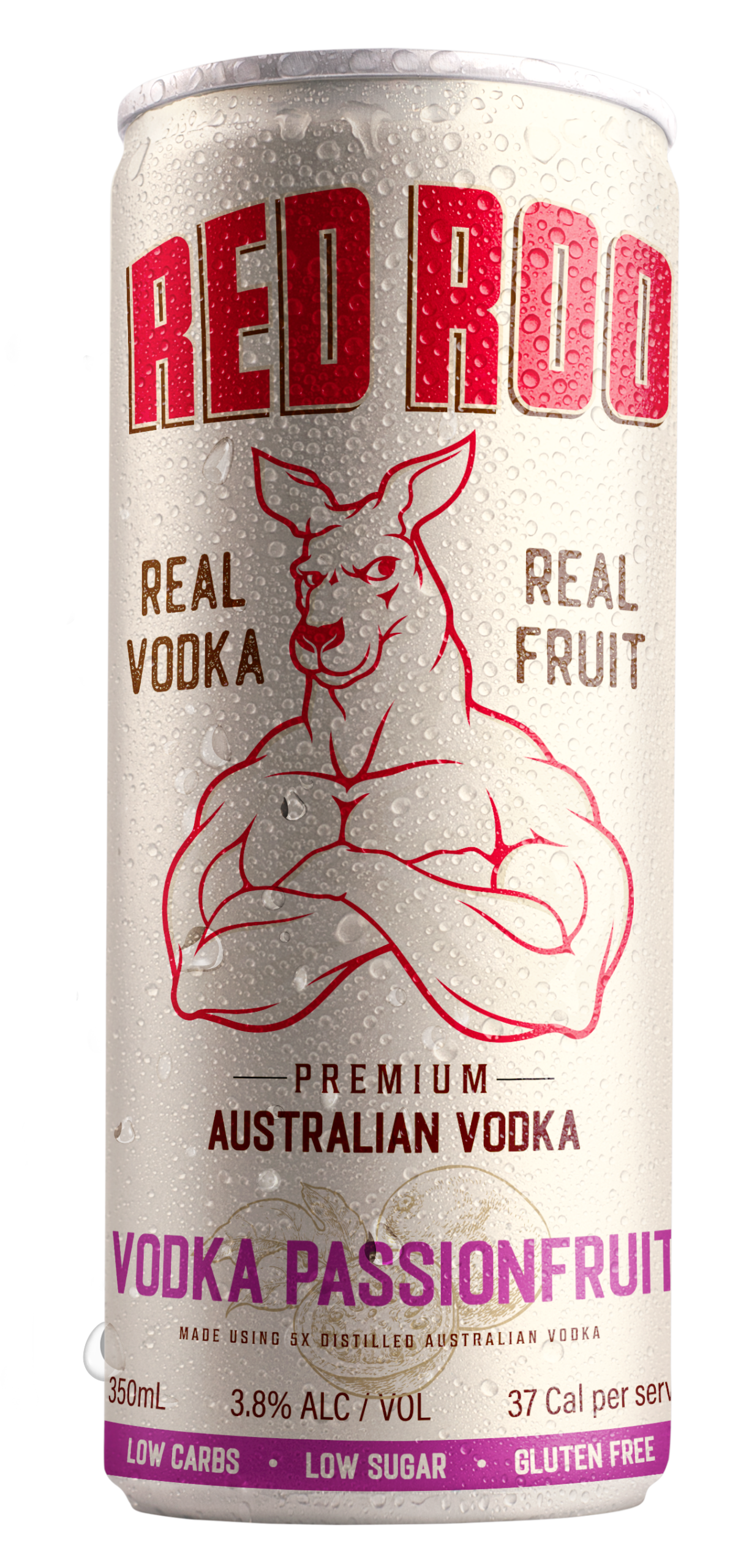 Passionfruit & Soda 350ml Cans - Image 2